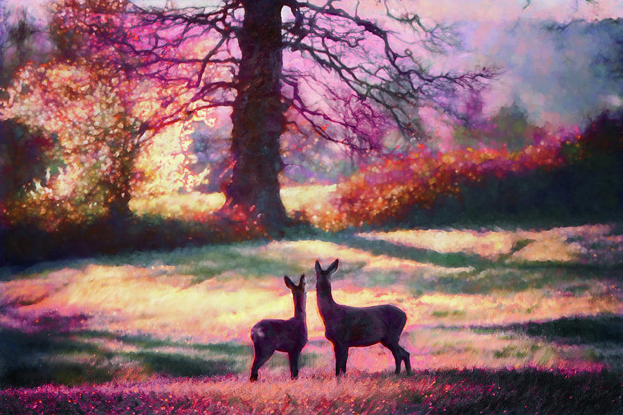 Deer Mixed Media - Looking back by Helen White Deer Mixed Media - Looking back by Helen White