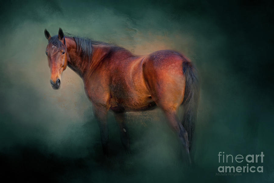 Horse Photograph - Looking Back by Michelle Wrighton
