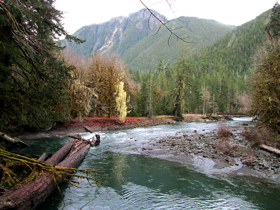 Staircase loop hotsell olympic national park