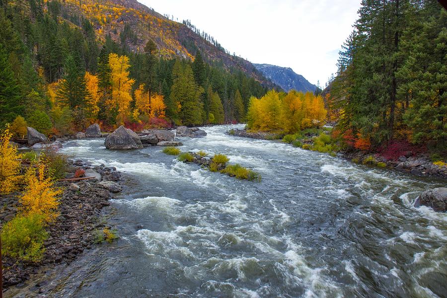 Looking down at Fall colors Photograph by Lynn Hopwood - Fine Art America