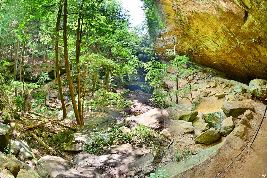 Looking Down At Old Mans Gorge Hocking Hills Ohio Photograph by Lisa Wooten
