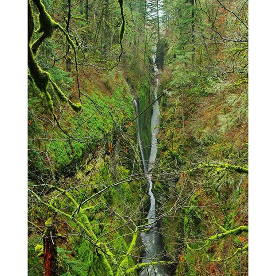 Traveloregon Photograph - Looking Down Into Oneonta Gorge. Very by Mike Warner