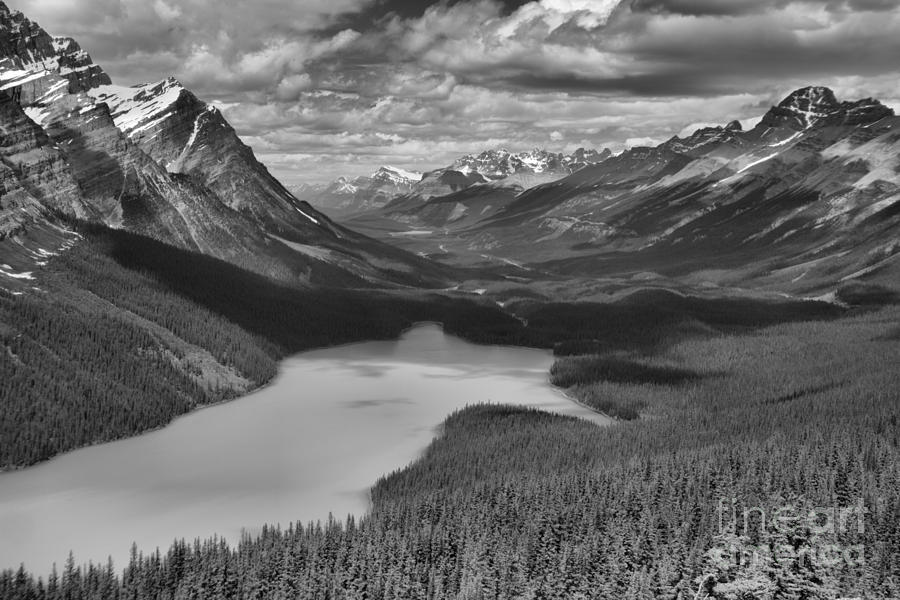 Looking Down On Peyto Lake Black And White Photograph by Adam Jewell