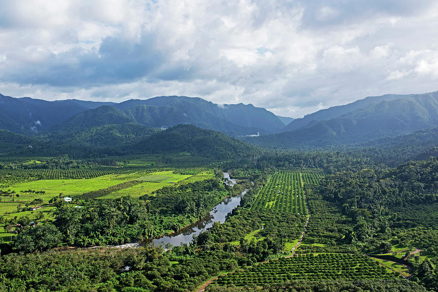 Looking Down on the Sibun River in Belmopan Belize Photograph by Toby ...