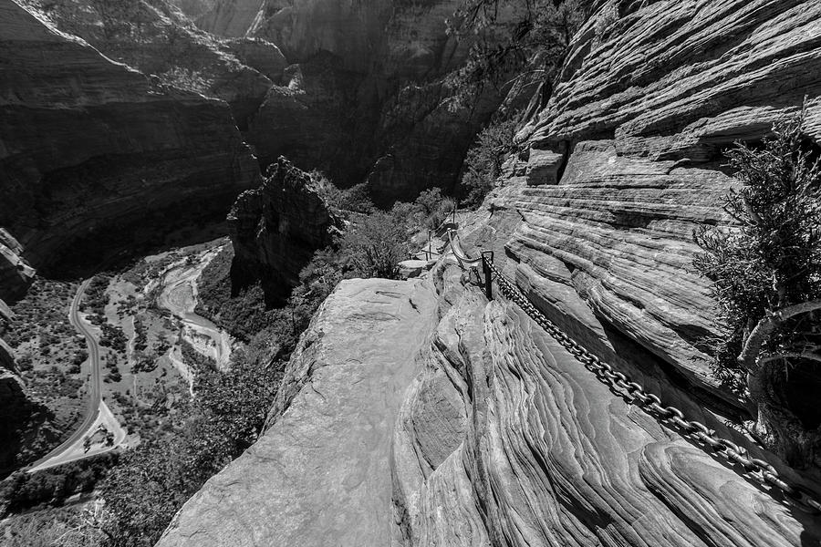 Looking down with the chains Angels Landing  Photograph by John McGraw