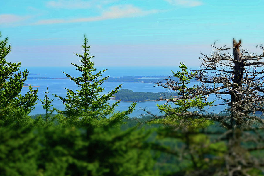 Looking East from Beech Mountain - Acadia No. 95 Photograph by Sandy Taylor