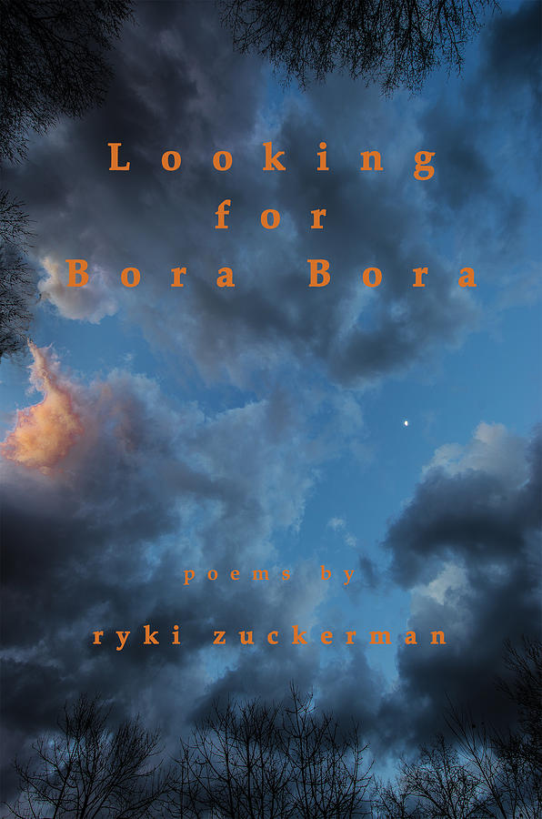Looking for Bora Bora book cover Photograph by Don Mitchell