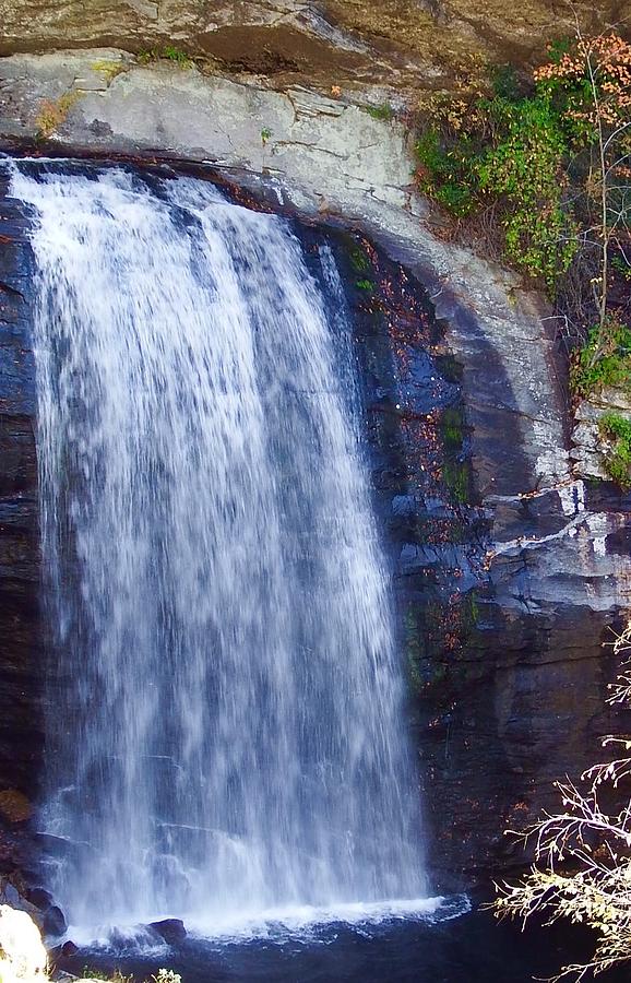 Landscape Photograph - Looking Glass Falls 2016 by Cathy Harper