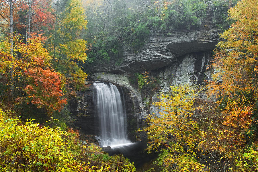 Looking Glass Falls In October Photograph by Susan Stanton