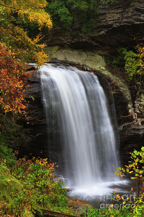 Looking Glass Falls In The Fall Photograph