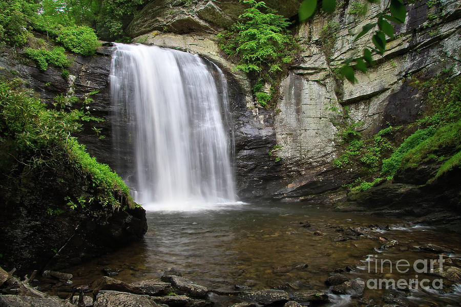Looking Glass Falls in the Summer Photograph by Jill Lang