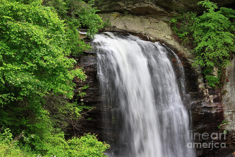 Looking Glass Falls In The Summer With Green Leaves Photograph