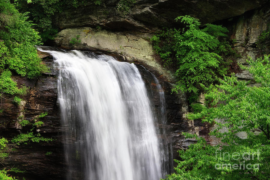 Looking Glass Falls In The Summertime Photograph