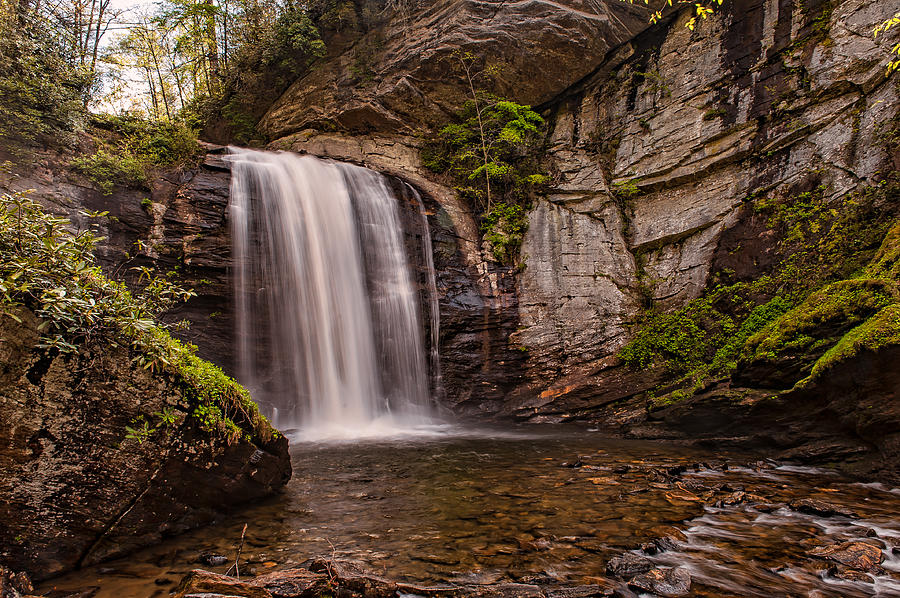 Looking Glass Falls - Pisgah National Forest Photograph by Brenda Jacobs