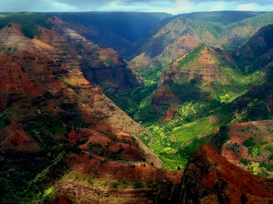 Looking Into Waimea Canyon Photograph by Connie Handscomb