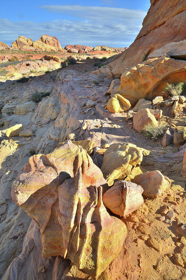 Looking North from Wash 3 in Valley of Fire Photograph by Ray Mathis
