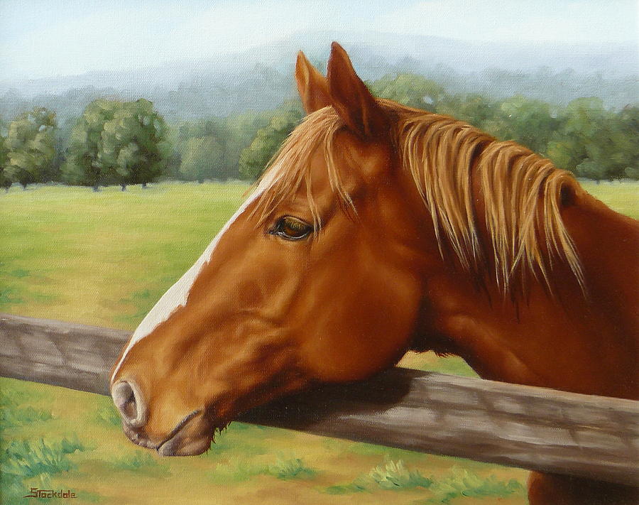 Looking Out Painting by Margaret Stockdale