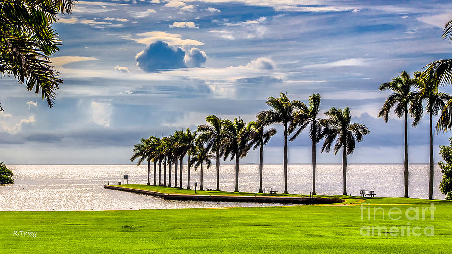 Looking out the Deering Estate Photograph by Rene Triay FineArt Photos