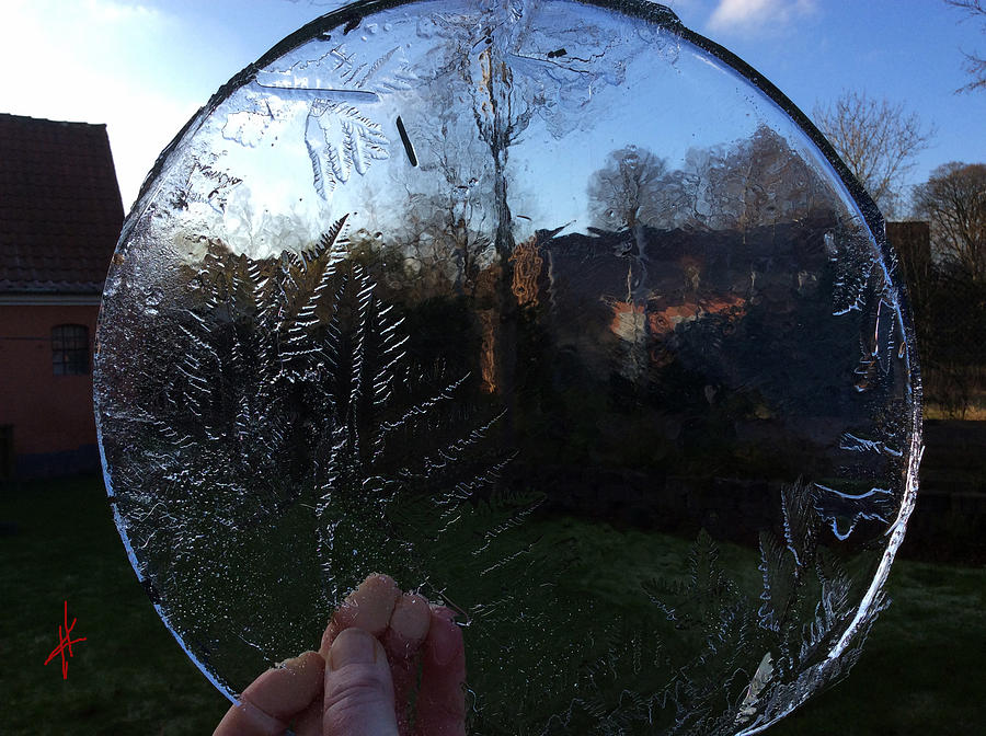 Winter Photograph - Looking Out via Ice Water Plate  by Colette V Hera Guggenheim