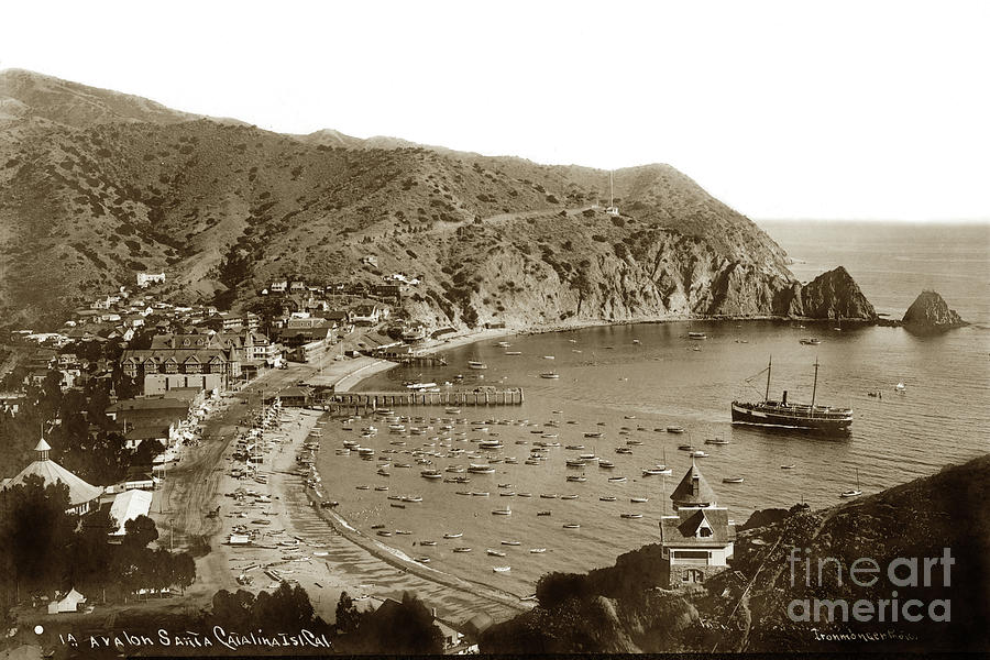 Los Angeles Photograph -  Looking over Holly Hill House  Avalon Bay, on Catalina Island C 1895 by Monterey County Historical Society