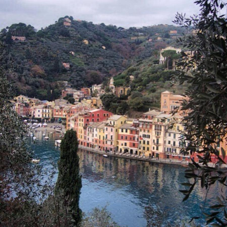 Landscape Photograph - Looking Over Portofino From The Brown by Stefano Bagnasco