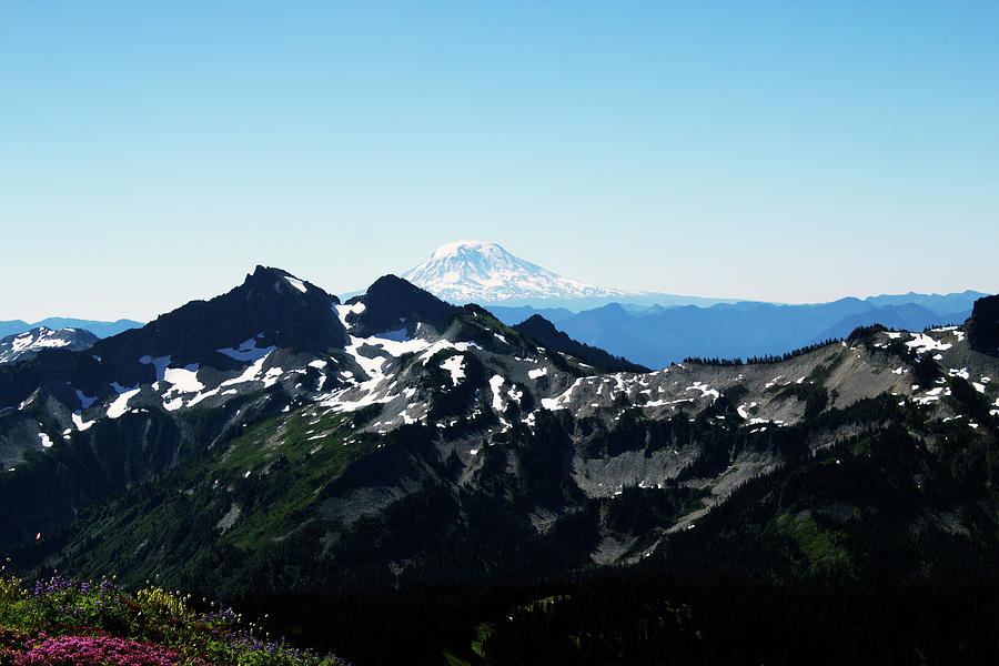 Looking South at Mount Adams Photograph by Edward Hawkins II