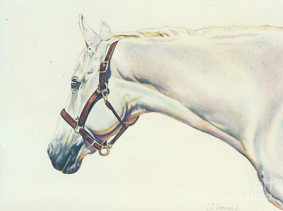 Horse Painting - Looking by Suzanne Leonard