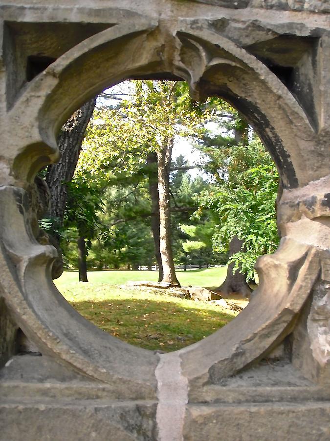 Looking through the Ruins Photograph by Stephanie Moore