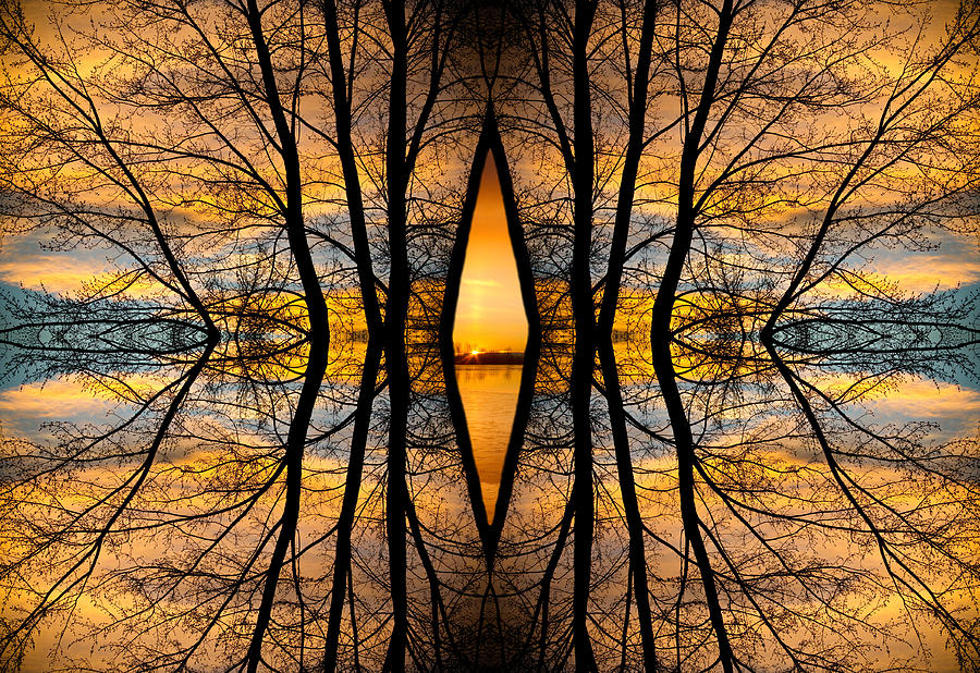 Nature Photograph - Looking Through The Trees Abstract Fine Art by James BO Insogna