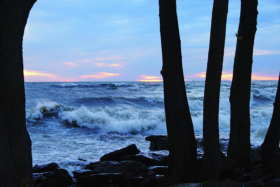 Lake Erie Photograph - Looking Through the Trees by Mike Murdock Lake Erie Photograph - Looking Through the Trees by Mike Murdock