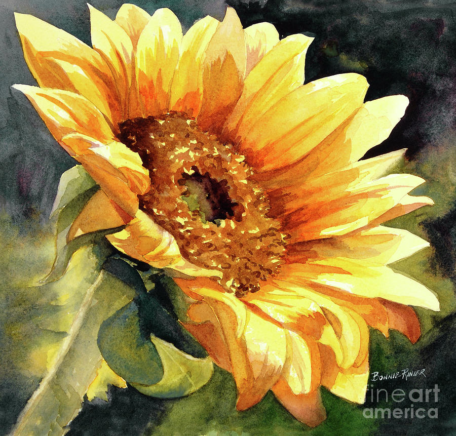 Sunflower Painting - Looking to the Sun by Bonnie Rinier