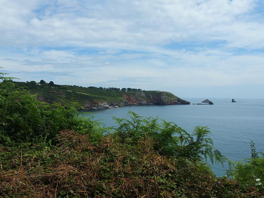 Looking Towards Berry Head Brixham From The Southwest Coast Path Devon Photograph by Mackenzie Moulton
