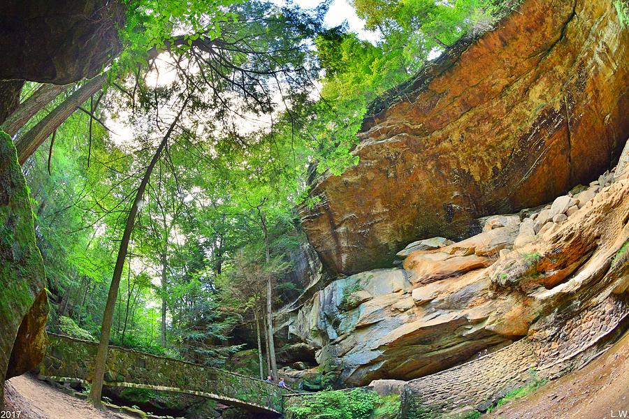 Looking Up At Old Mans Cave Photograph by Lisa Wooten