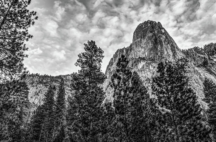 Yosemite National Park Photograph - Looking Up at Yosemite National Park - Black and White by Gregory Ballos