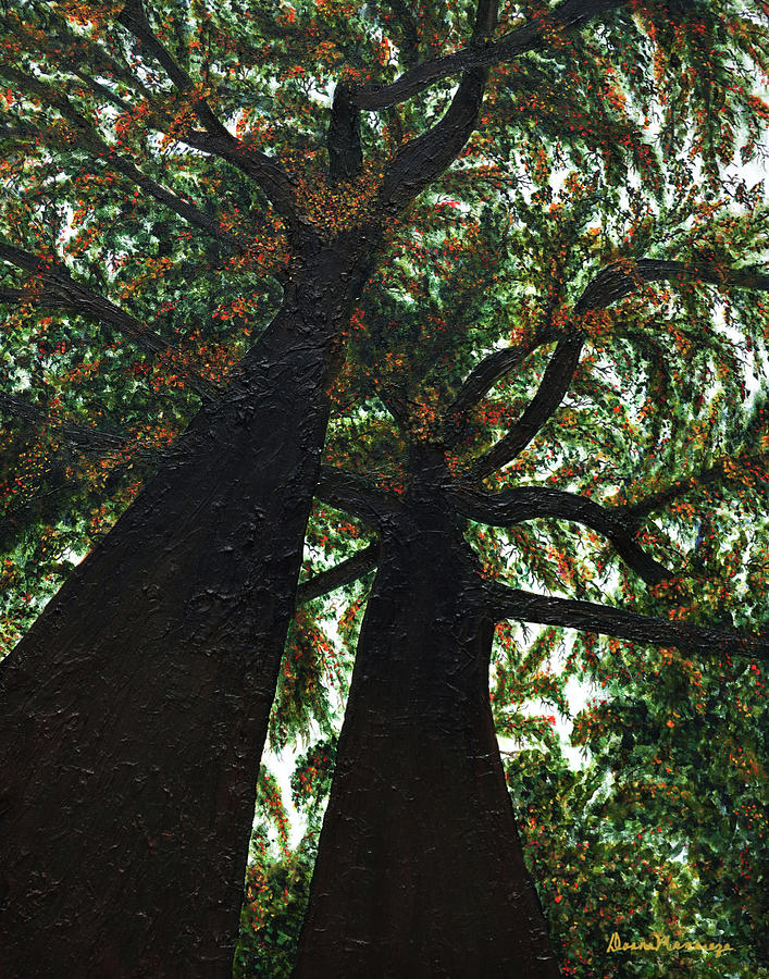 Looking Up by Donna Manaraze Looking Up by Donna Manaraze