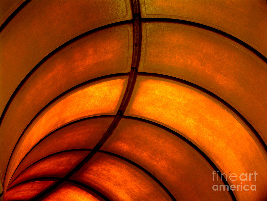 Abstract Photograph - Looking up by Elizabeth McPhee