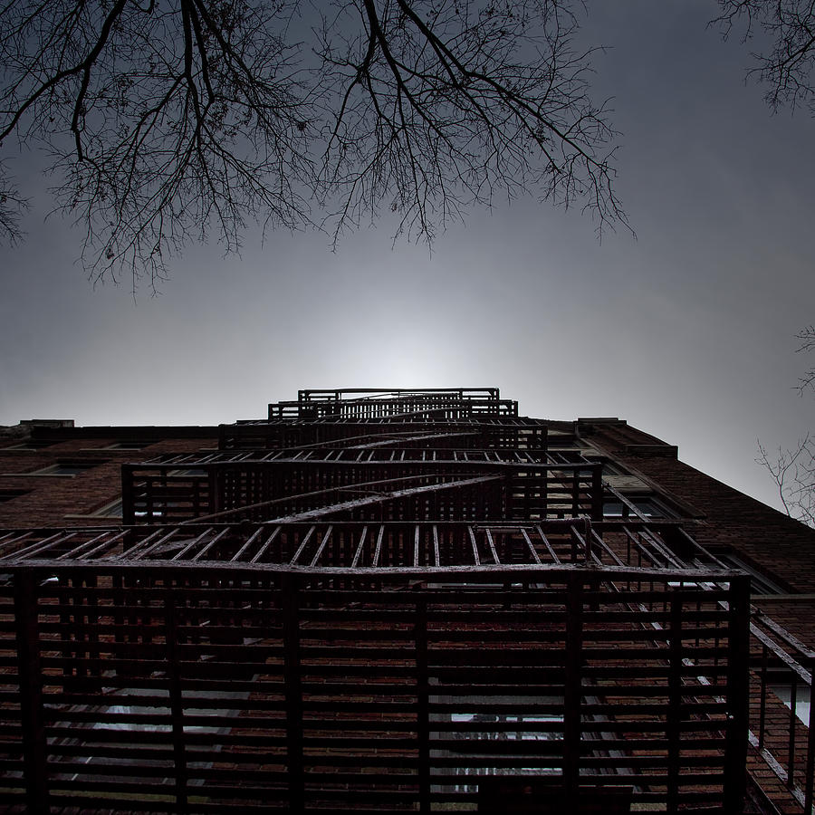 Looking Up in the Bronx Photograph by Mark Andrew Thomas