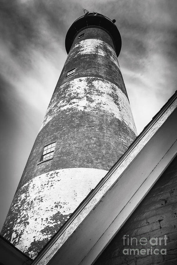 Black And White Photograph - Looking Up by Lisa McStamp