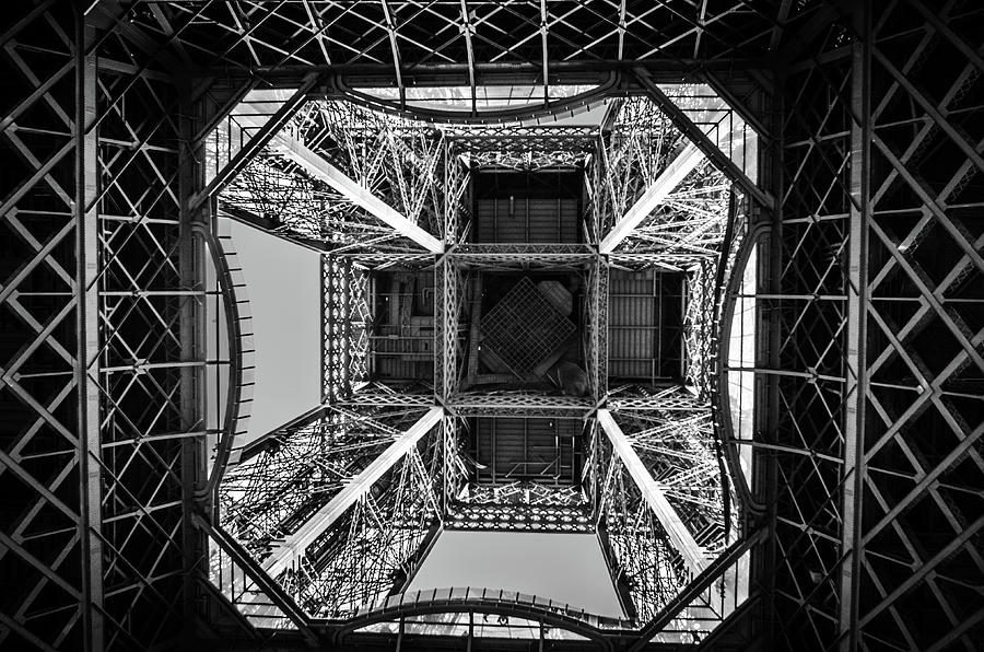 Looking Up Photograph by Miguel Winterpacht