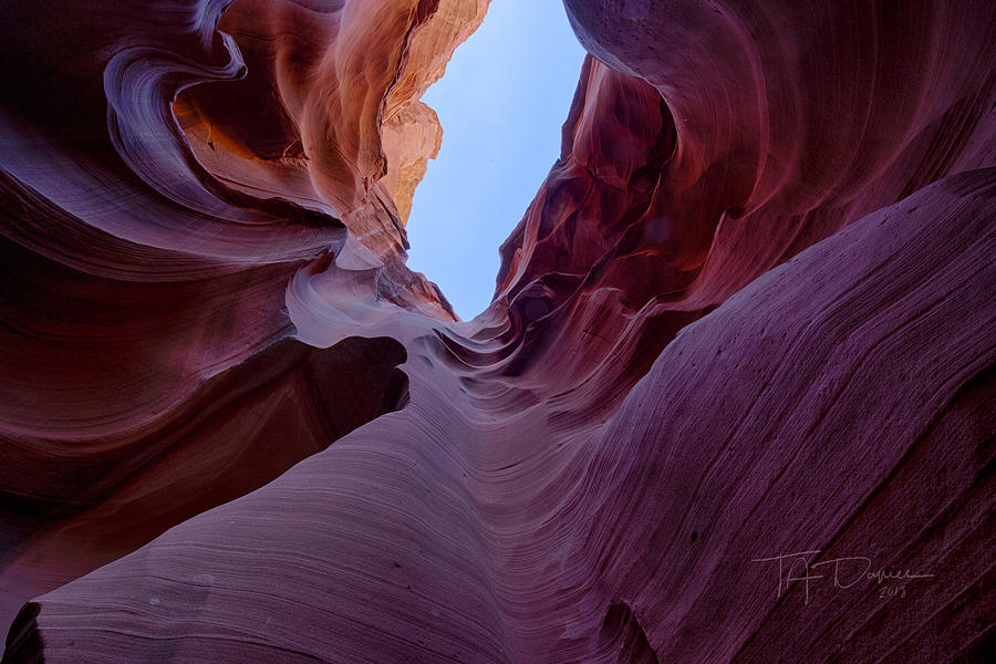 Looking Up by T A Davies Looking Up by T A Davies