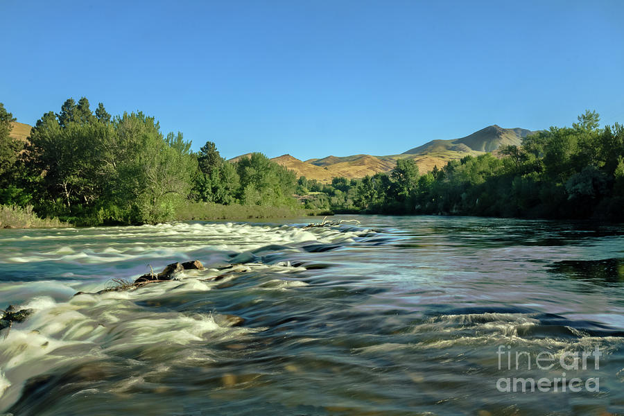 Looking Up The Payette Photograph by Robert Bales