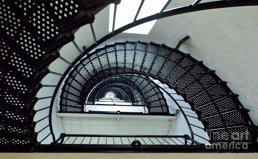 Looking Up The Spiral Staircase Photograph by D Hackett