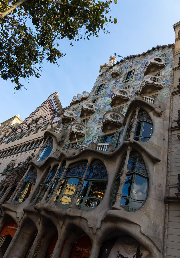 Looking Up to a Masterpiece - Antoni Gaudi Casa Batllo in Barcelona Spain Photograph by Georgia Mizuleva