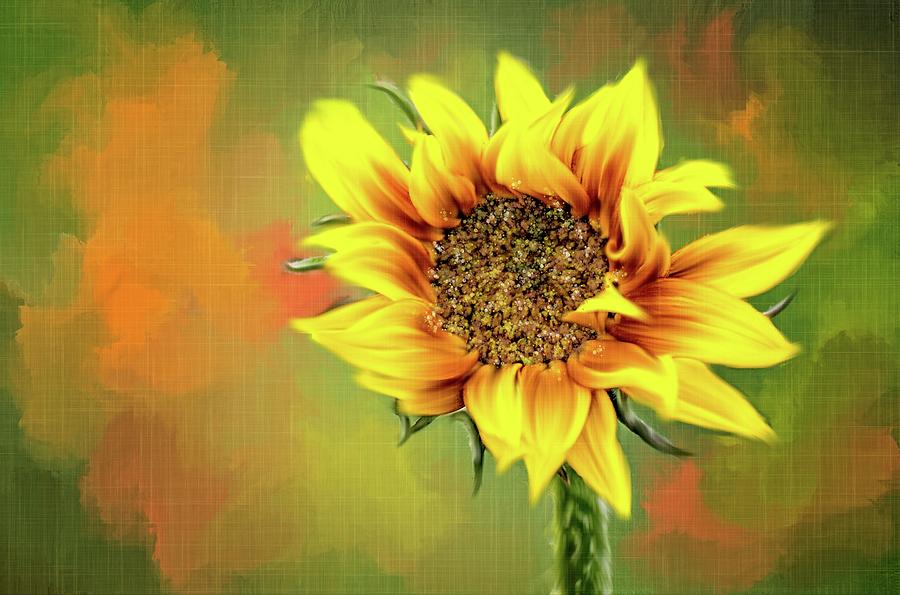 Looking up to the Sunflower Mixed Media by Mary Timman