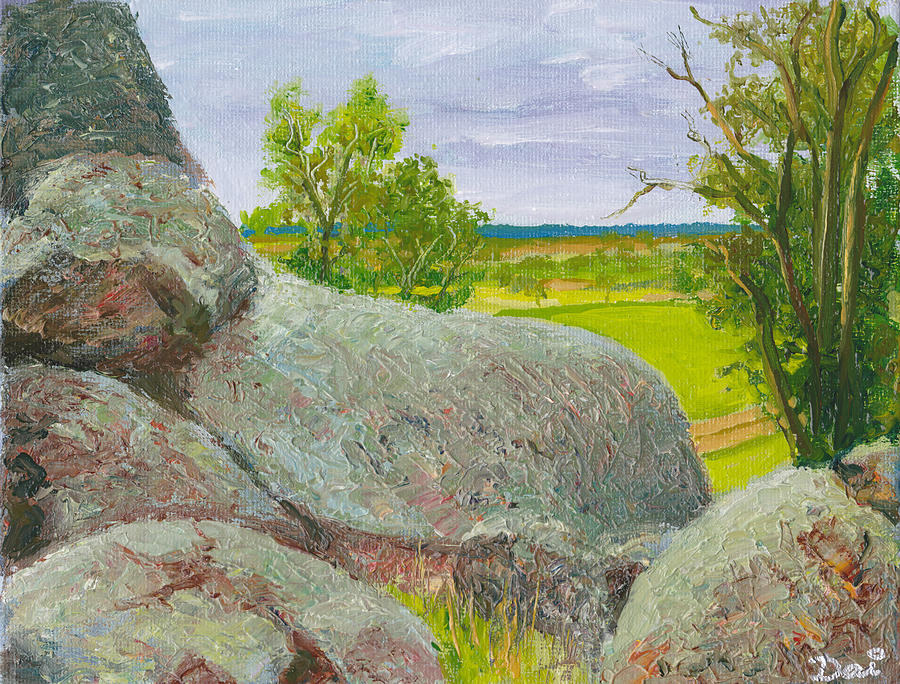 Lookout of Bushranger Dan Morgan Painting by Dai Wynn