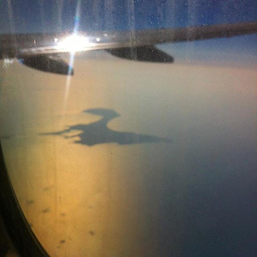 Flight Photograph - Looks Like A #dino :-o 
#inthesky by Neue Meere Entdecken