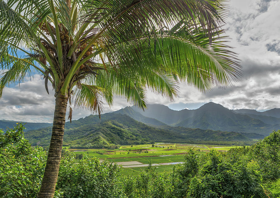 Looks like vietnam but it is Hawaii Photograph by Ian Sempowski