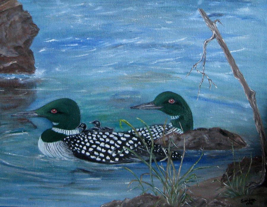 Loon Family in Color Painting by Sandra Maddox - Fine Art America