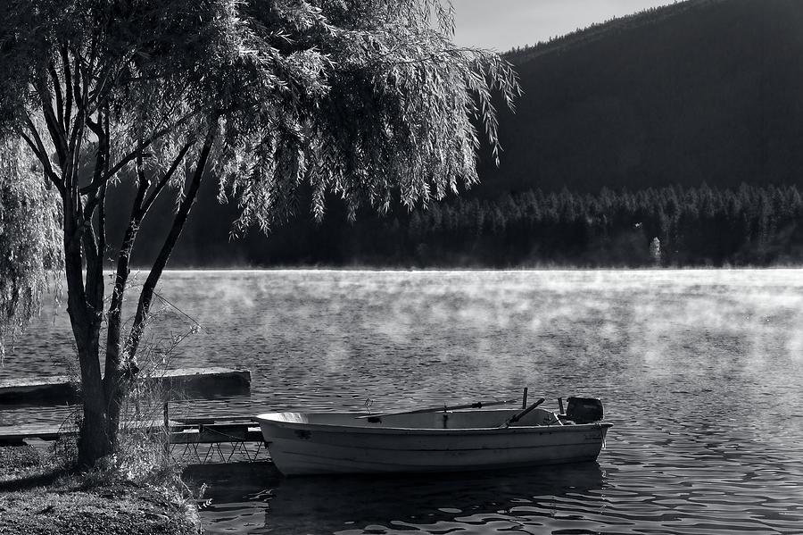 Loon Lake Morning Pause Photograph by Allan Van Gasbeck