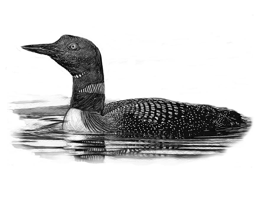 Loon on Lake B And W Digital Art by Yuichi Tanabe